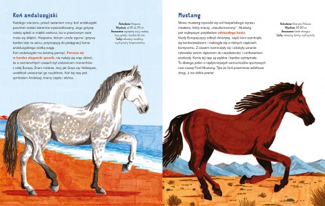 W galopie elibri srodki 3